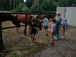 Общение с природой Общение с природой